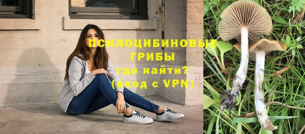 мет Липки