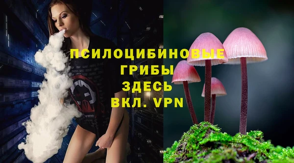 синтетический гашиш Краснослободск