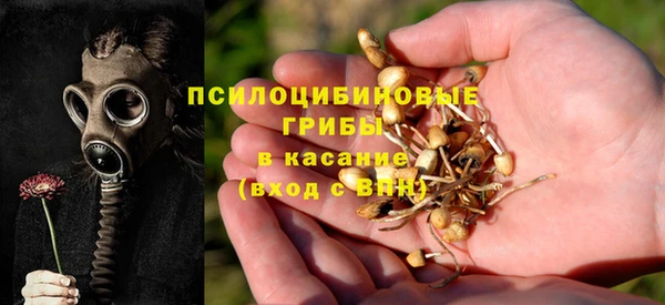 стаф Лихославль