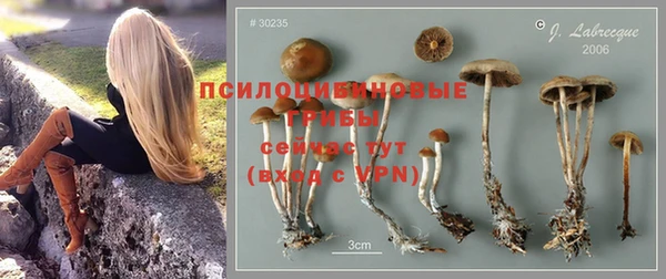 скорость Кукмор
