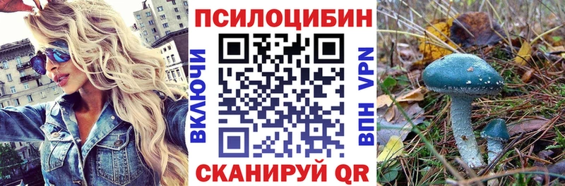 Галлюциногенные грибы MAGIC MUSHROOMS  купить  сайты  Макарьев 